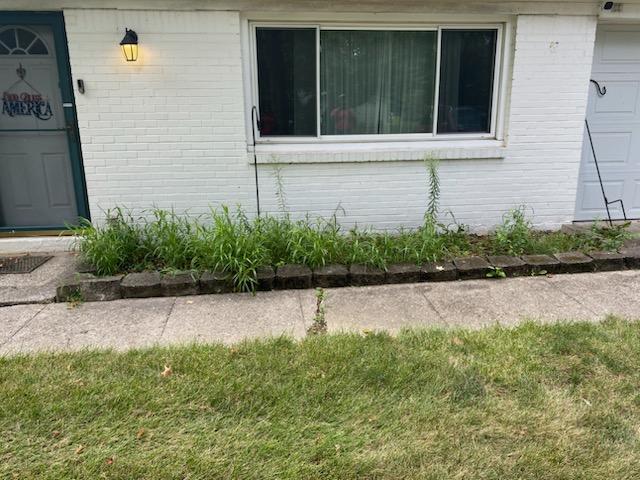 Landscaping bed before Yogi's property refresh